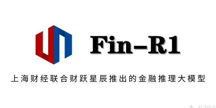 Fin-R1
