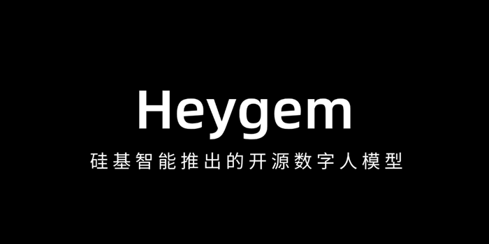 Heygem