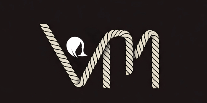 VisoMaster
